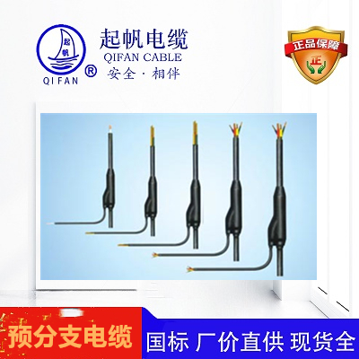 預(yù)分支電纜 預(yù)分支電纜